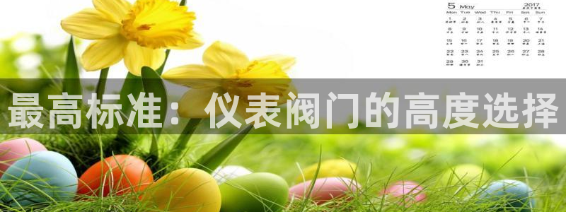 新宝gg平台开户