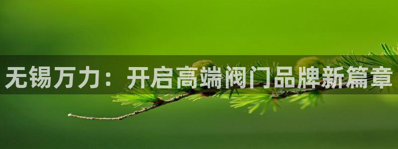 新宝gg返点模式