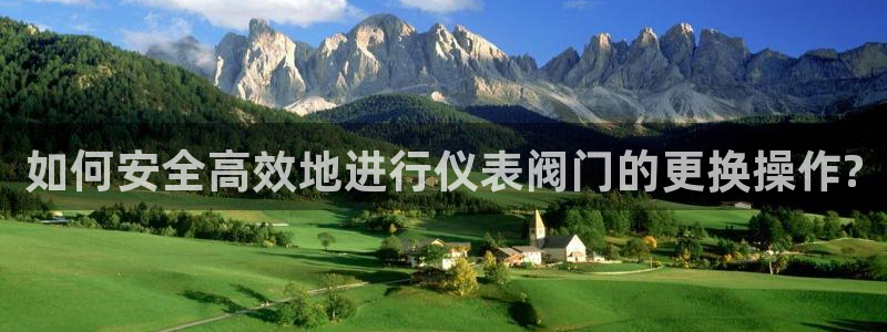 新宝gg返点1956是多少